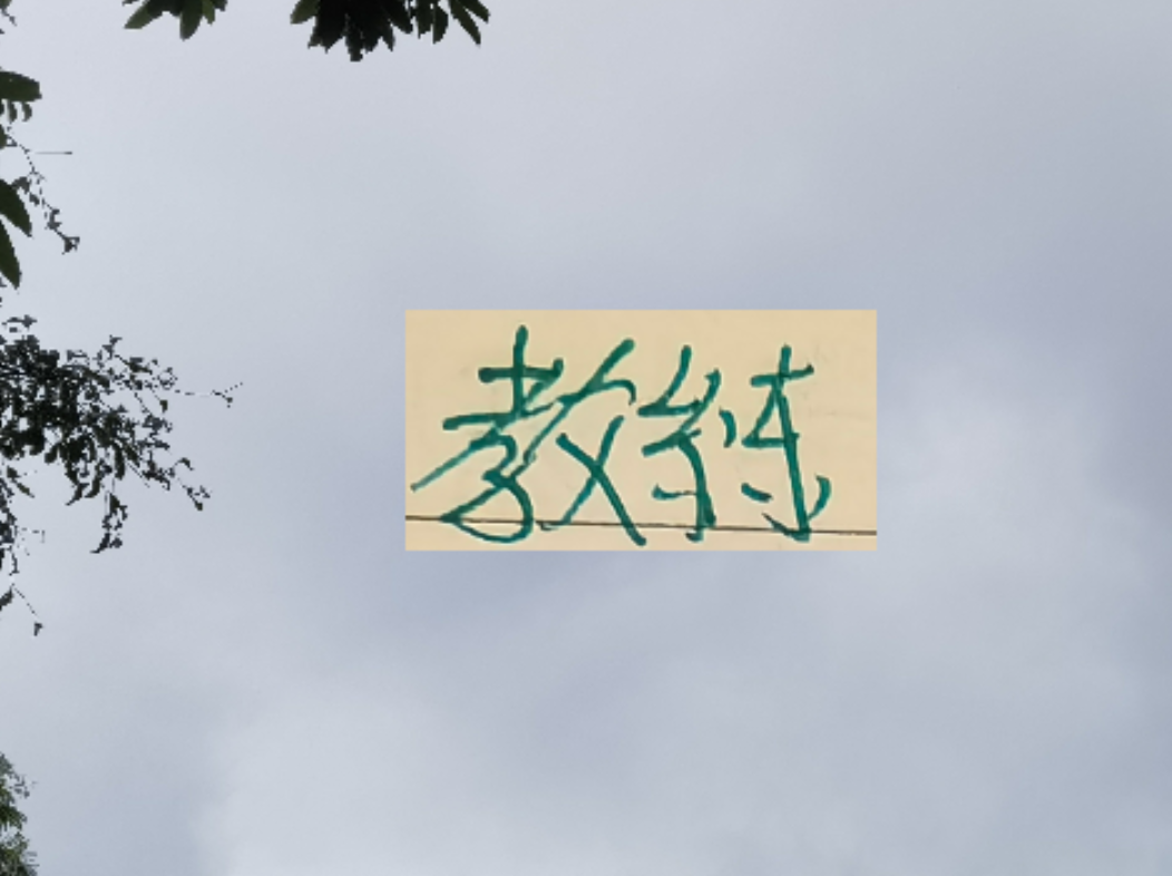 越折腾越能拿冠军 ！五年来海港4次换教练 4夺冠军